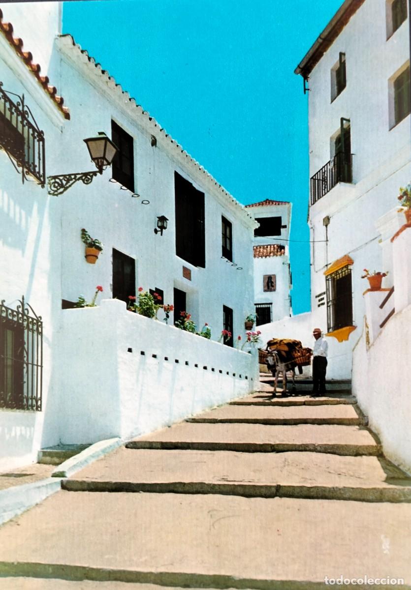 Postales: POME5 29161 ( MALAGA ) TORREMOLINOS ( a&ntilde;o 1965 )