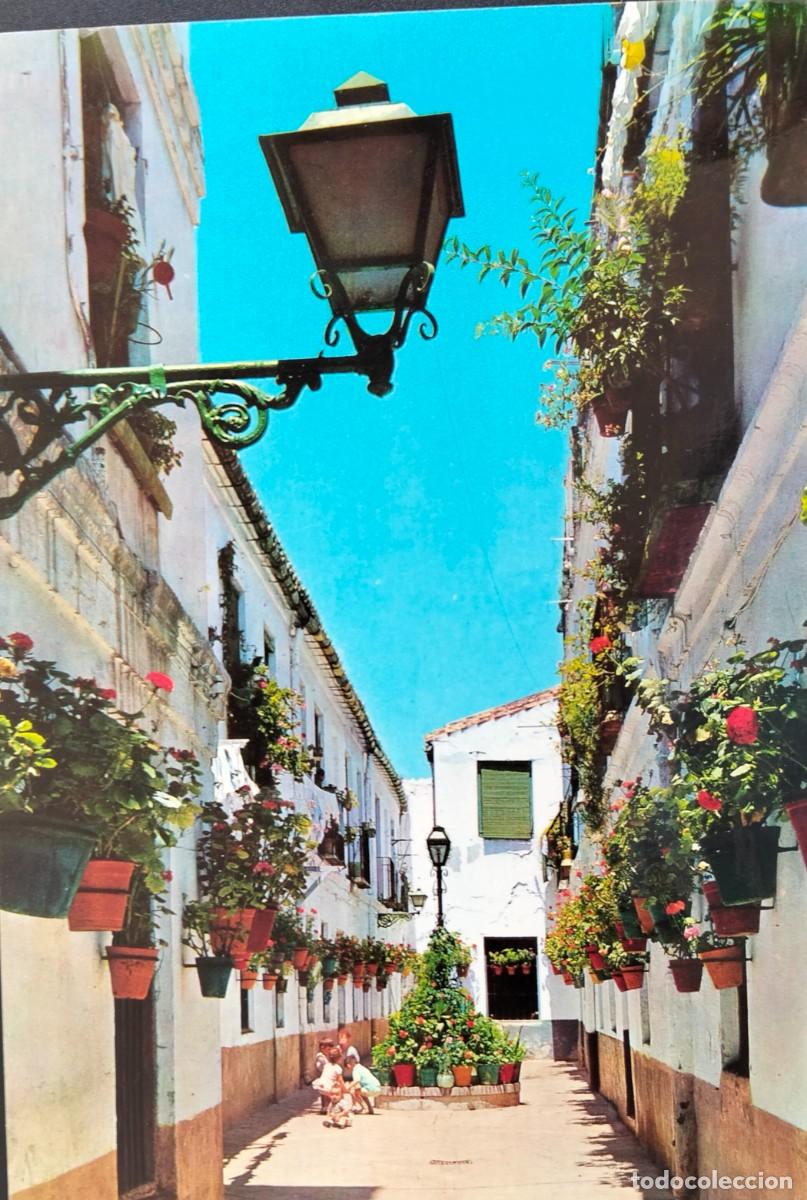 Postales: POME5 29167 ( MALAGA ) ( a&ntilde;o 1963 )