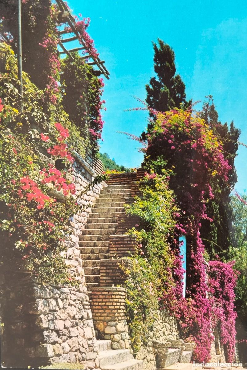 Postales: POME5 29168 ( MALAGA ) ( a&ntilde;o 1965 )