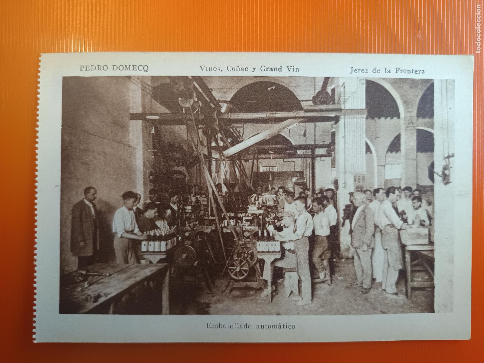 Postales: POSTAL PEDRO DOMECQ, VINOS CO&Ntilde;AC, JEREZ DE LA FRONTERA CADIZ, EMBOTELLADO AUTOMATICO, MATEU