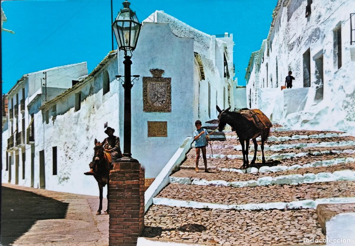 Postales: POME5 29200 ( MALAGA ) FRIGILIANA ( a&ntilde;o 1976 )
