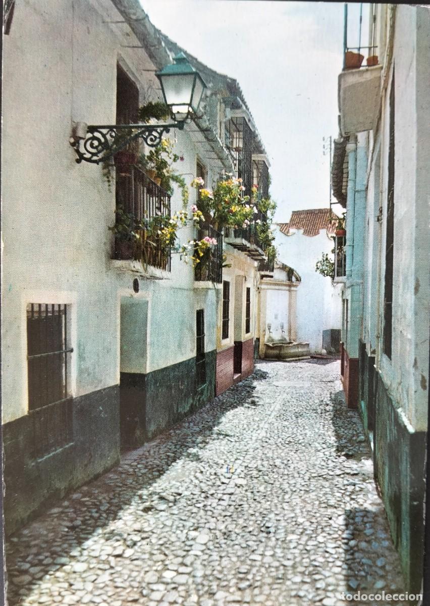 Postales: LOME5 29198 MALAGA ( A&Ntilde;O 1962 )