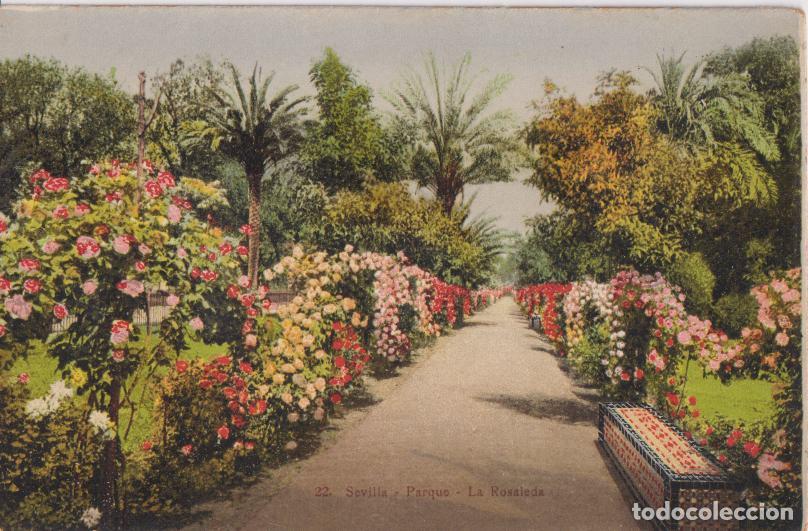 Postales: SEVILLA, PARQUE LA ROSALEDA - EDITOR MANUEL BARREIRO - S/C