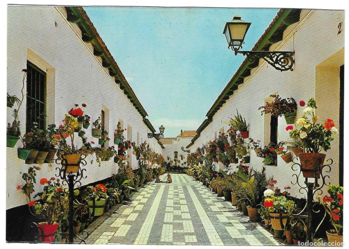 Postales: Postal M&aacute;laga. Calle T&iacute;pica. ref. 7-anda82
