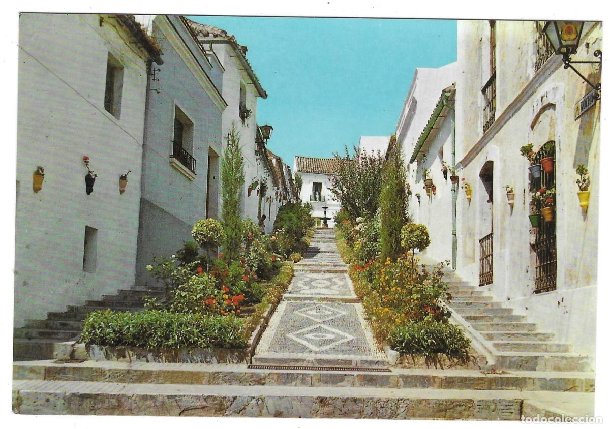 Postales: Postal Algeciras. C&aacute;diz. Calle T&iacute;pica. ref. 7-anda94