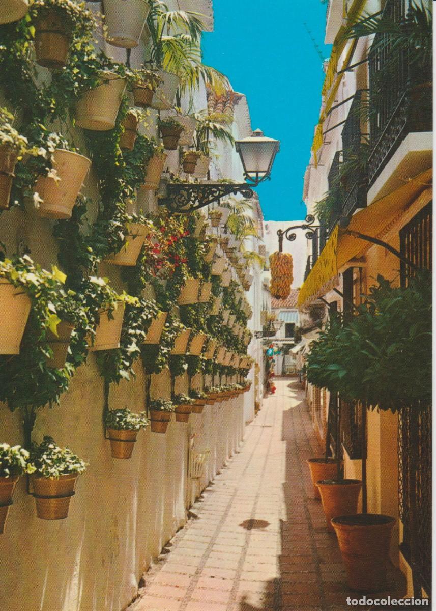 Postales: (196) MARBELLA. CALLE TIPICA ... SIN CIRCULAR