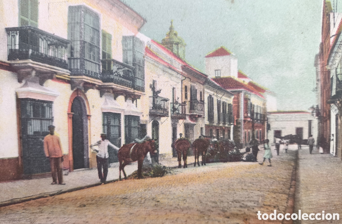 Postales: ALGECIRAS CALLE REGINO MART&Iacute;NEZ POSTAL CADIZ C. 1910