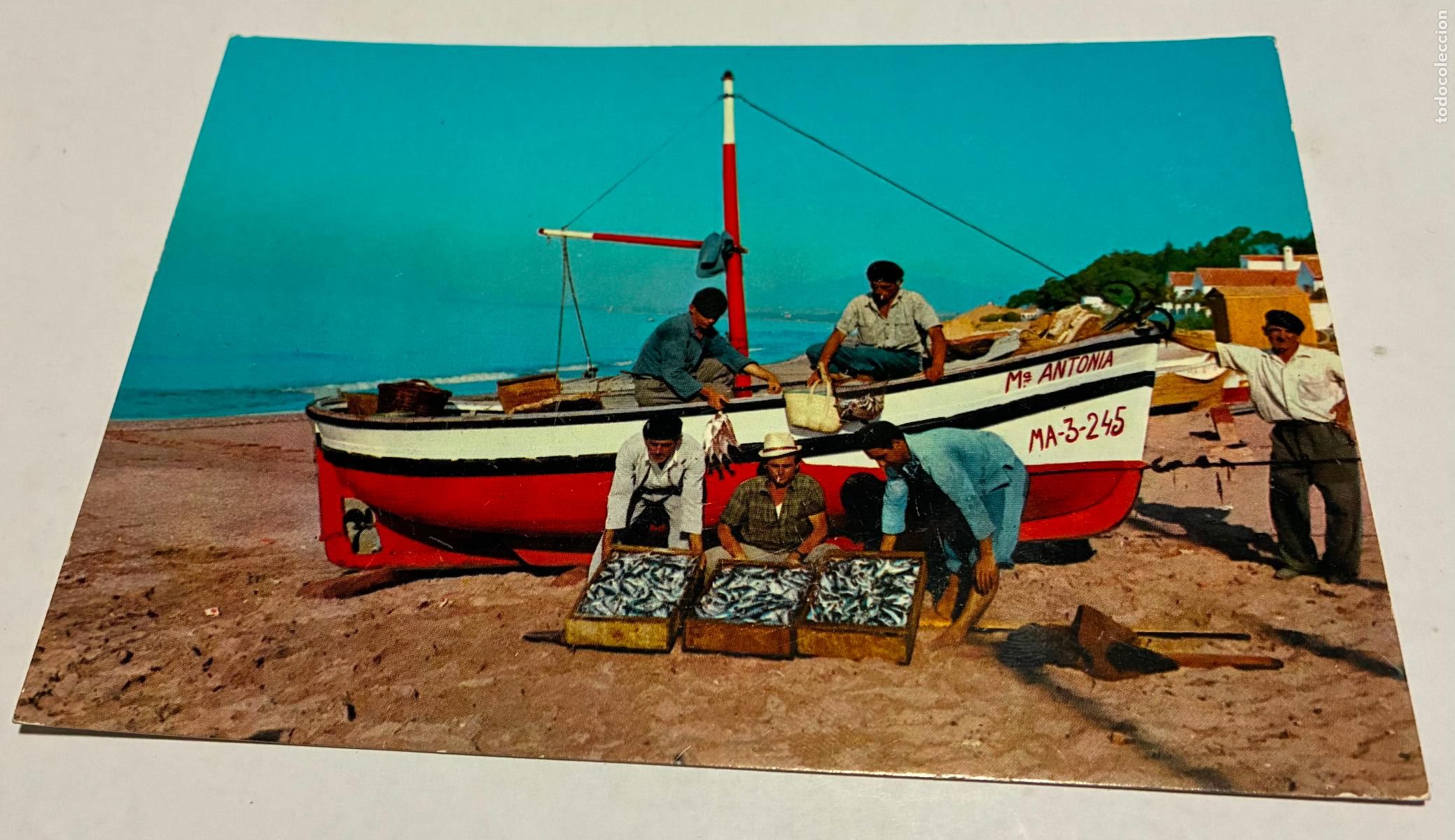 Postales: POSTAL ESTEPONA Costa del Sol Buena Pesca