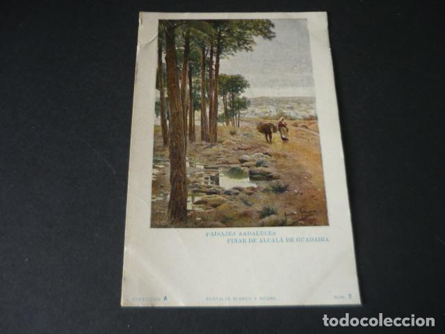 Cartoline: PINAR DE ALCALA DE GUADAIRA PAISAJES ANDALUCES POSTAL COLECCION BLANCO Y NEGRO