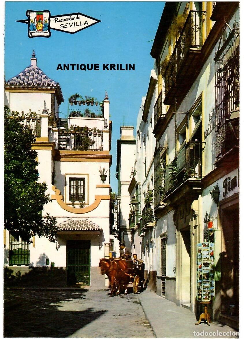 Postales: SEVILLA N&ordm; 5416 PLAZA DE DO&Ntilde;A ELVIRA / EDICIONES PERGAMINO / SIN FRANQUEAR