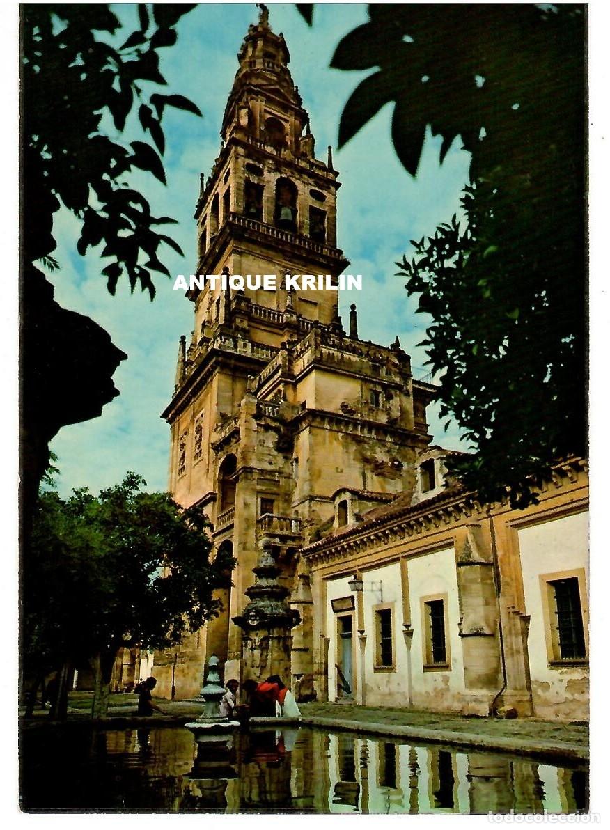 Postales: CORDOBA N&ordm; 173 TORRE CATEDRAL Y PATIO NARANJOS / EDICION RO-FOTO / SIN FRANQUEAR