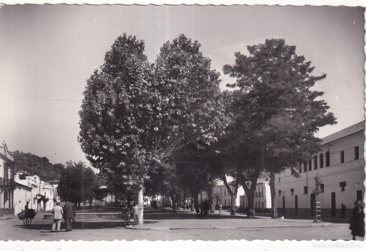 Postales: 3 Constantina. Sevilla. Pseo de la Alameda. Garc&iacute;a Garrabella. Escrita en 1963. Sin circular
