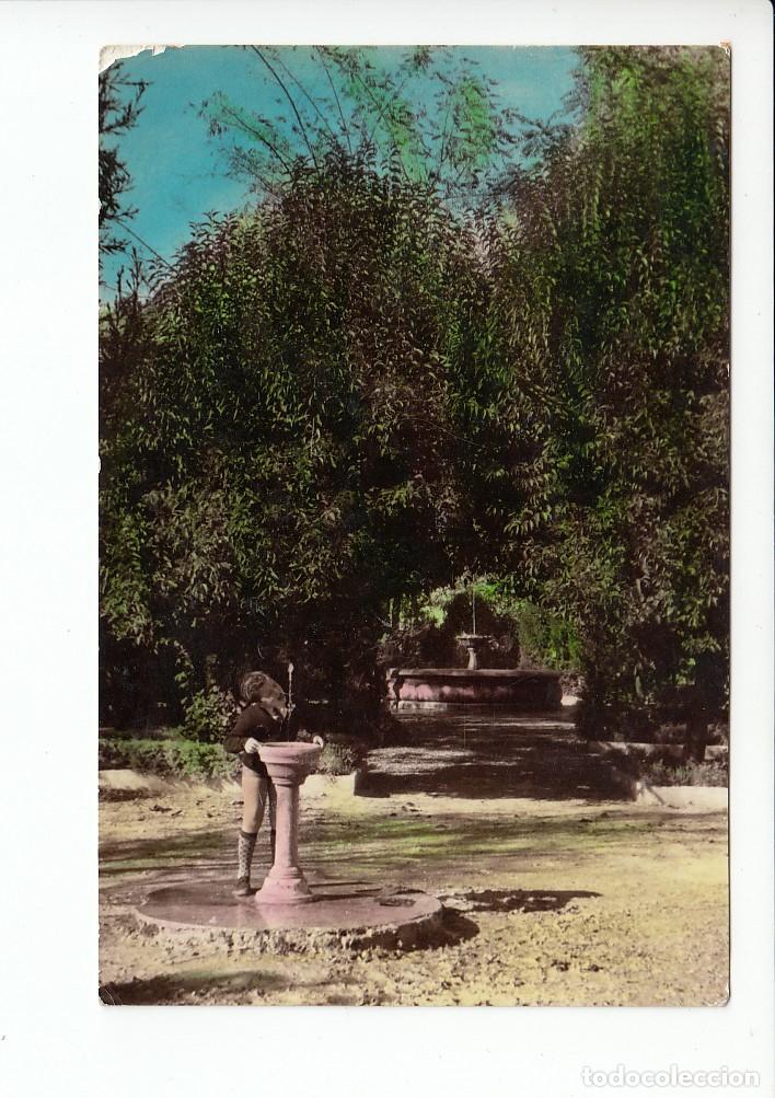 Postkarten: VILLACARRILLO (JAEN).- PARQUE MUNICIPAL
