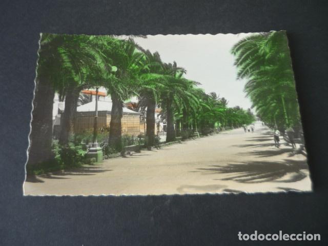 Postais: PUERTO DE SANTA MARIA CADIZ PARQUE CALDERON