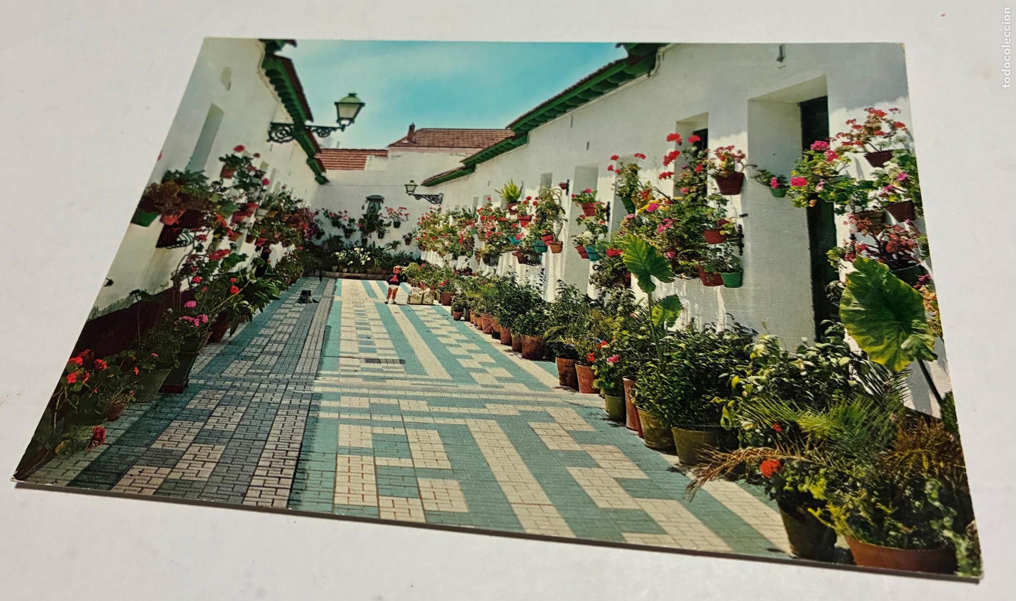 Postales: POSTAL MALAGA CALLE BLAS PALOMO