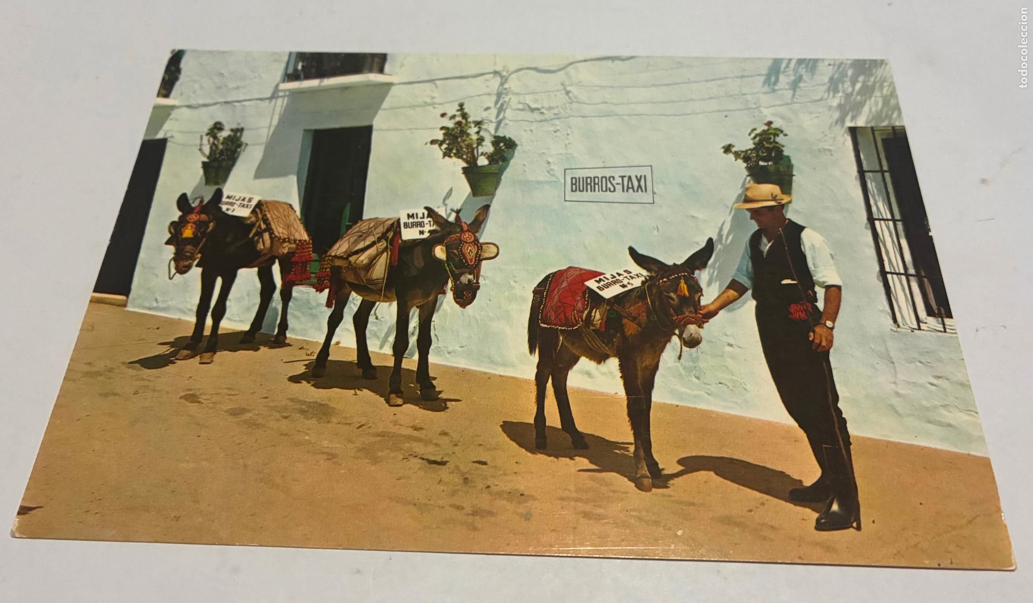 Postales: POSTAL COSTA DE SOL MIJAS, PARADA DE BURROS TAXI