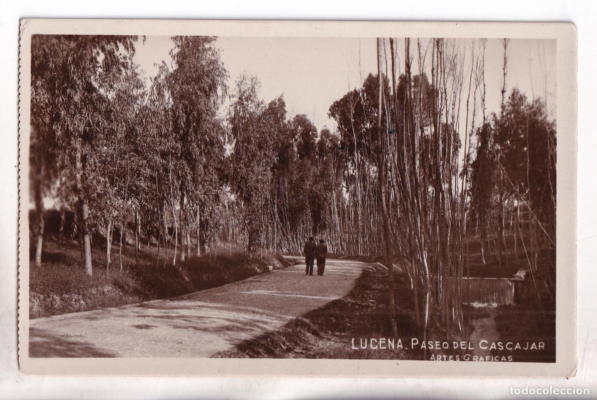 Postales: POSTAL. LUCENA. PASEO DEL CASCAJAR. C&Oacute;RDOBA