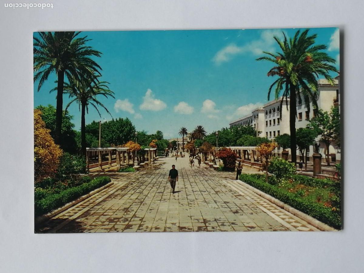 Postales: POSTAL 18374 ESCRITA-VALMAN SERIE D-240 SAN FERNANDO CADIZ PL. GENERAL LOBO