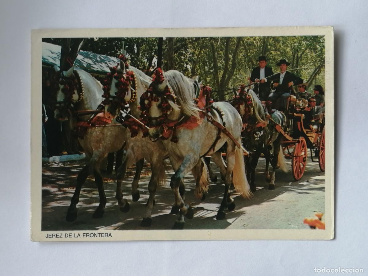 Postales: POSTAL 18353 MAT.1980S-AGM 515 JEREZ FRONTERA CADIZ FERIA CARRUAJE CABALLO