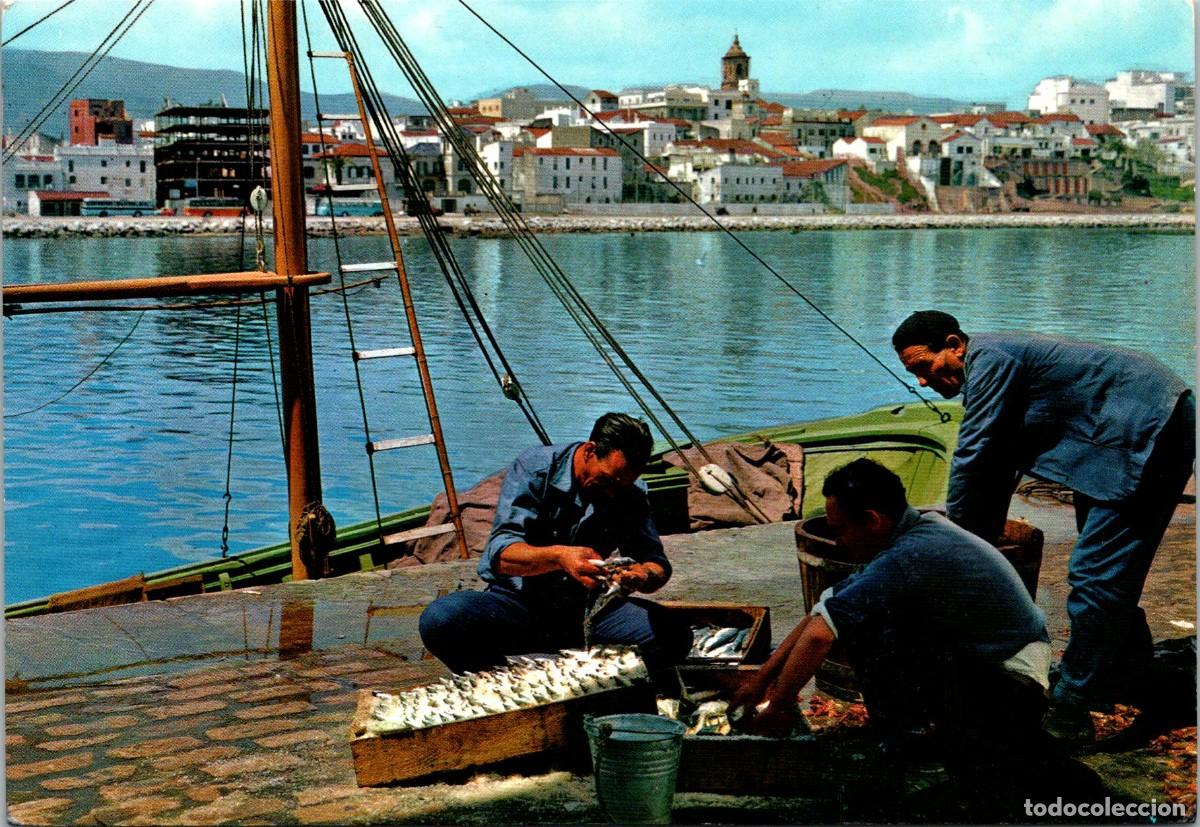 Postales: Algeciras (C&aacute;diz) - Puerto de Pescadores y vista parcial - Garc&iacute;a Garrabella 11 - Salando Sardinas