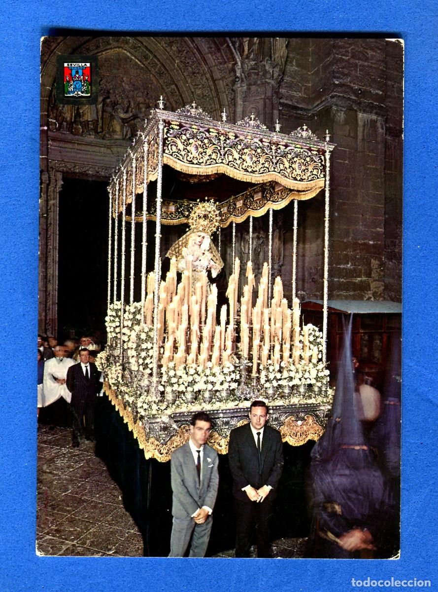 Postales: POSTAL SIN CIRCULAR SEVILLA SEMANA SANTA 260 MNTRA SRA DE LOS DOLORES SANTA CRUZ EDITA ESCUDO DE ORO