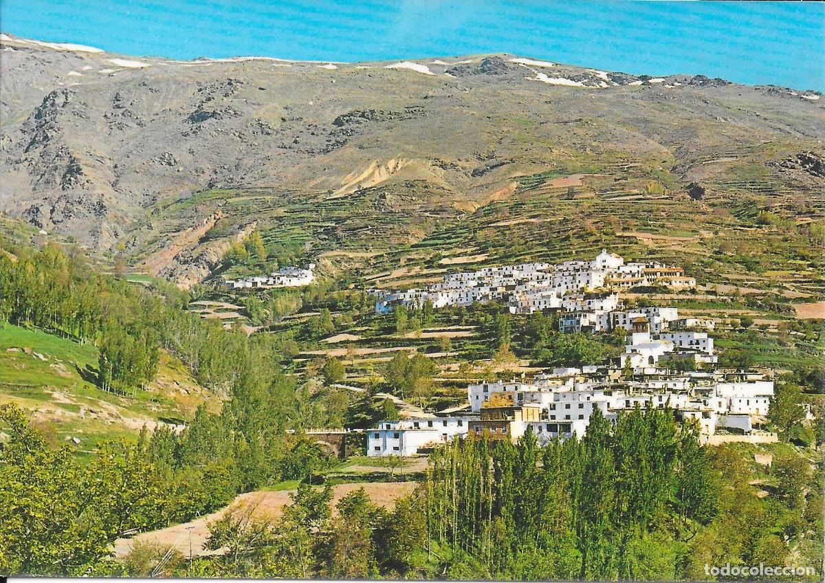 Postales: [POSTAL] Vista general. Trev&eacute;lez (Granada) (sin circular)