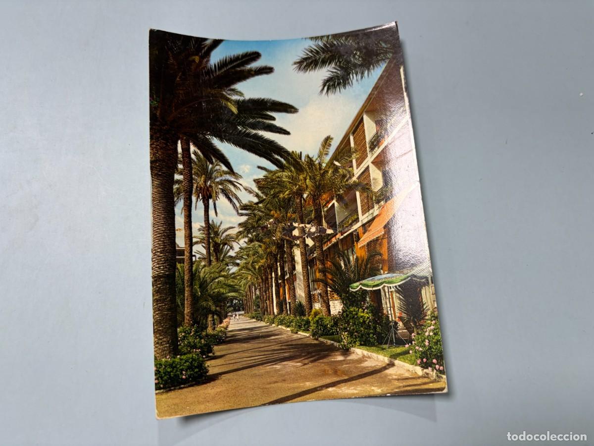 Postales: TARJETA POSTAL. M&Aacute;LAGA. TORREMOLINOS. COSTA DEL SOL. PASEO DE PALMERAS. EDICIONES ARRIBAS