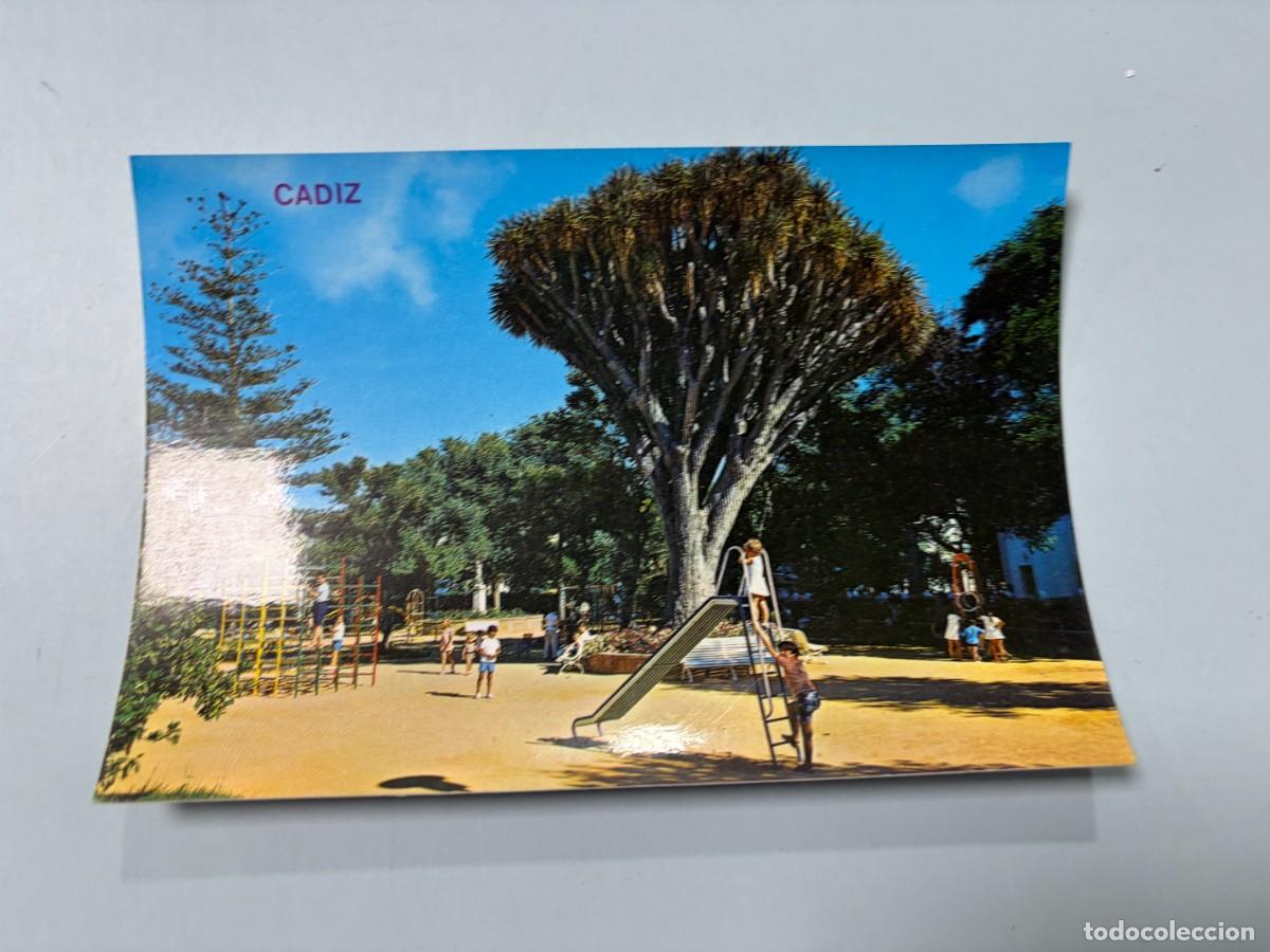 Postales: TARJETA POSTAL. C&Aacute;DIZ. 104.- PARQUE GENOV&Eacute;S. EDICIONES ARRIBAS