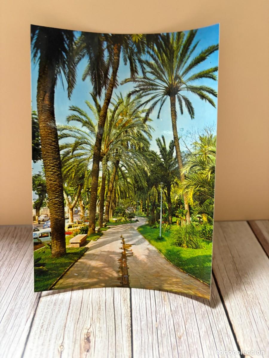 Postales: TARJETA POSTAL. M&Aacute;LAGA. 201.- COSTA DEL SOL. PASEO DE LAS PALMERAS. PARQUE. EDICIONES ARRIBAS