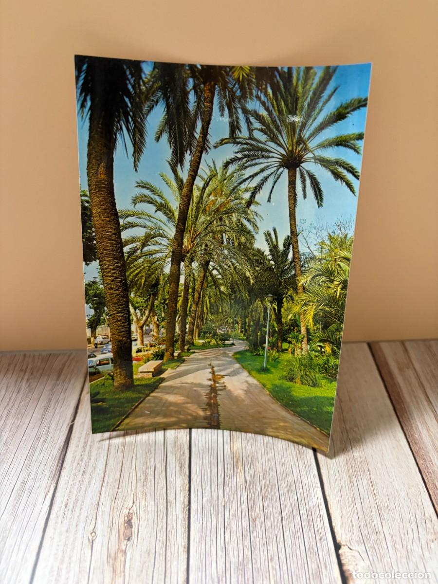 Postales: TARJETA POSTAL. M&Aacute;LAGA. 201.- COSTA DEL SOL. PASEO DE LAS PALMERAS. PARQUE. EDICIONES ARRIBAS