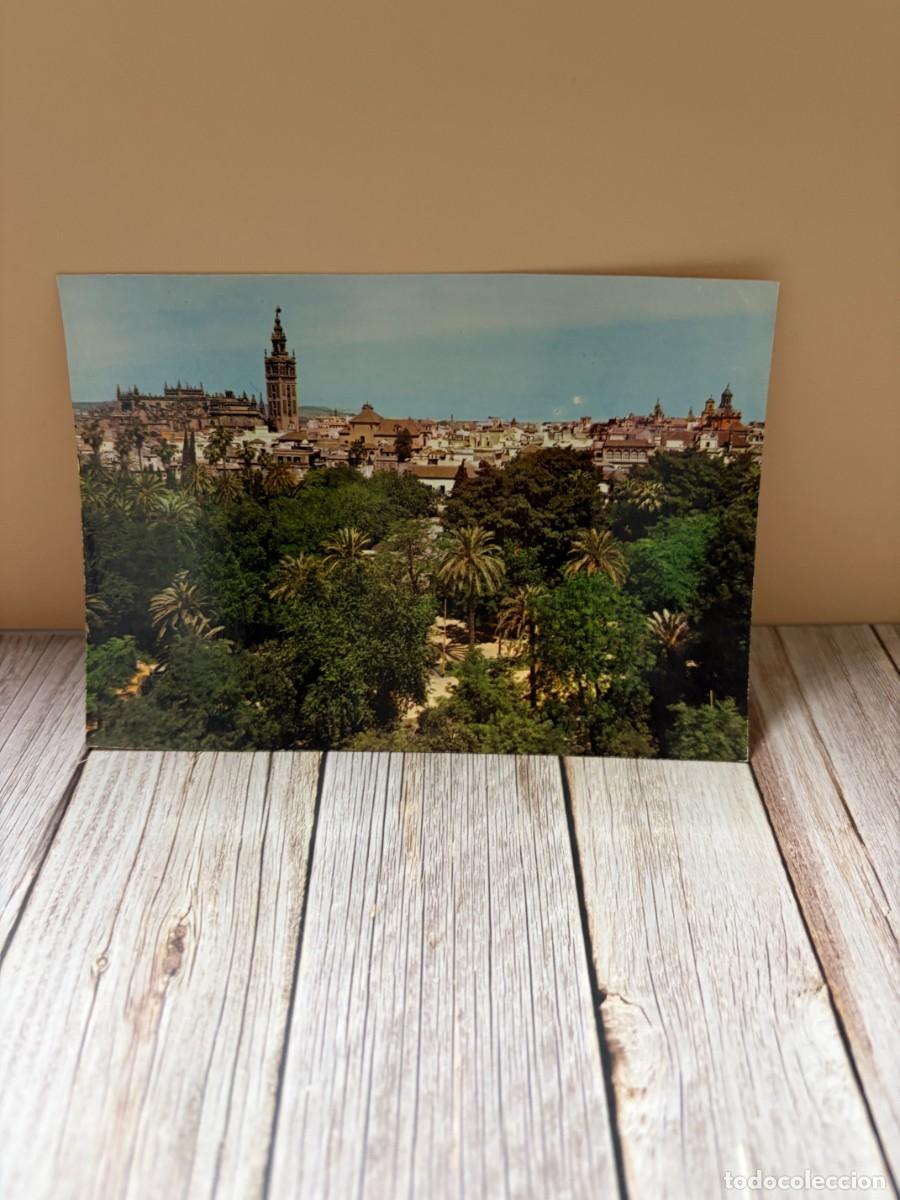 Postales: TARJETA POSTAL. SEVILLA. 2076.- VISTA PARCIAL AL FONDO LA CATEDRAL. EDICIONES ARRIBAS