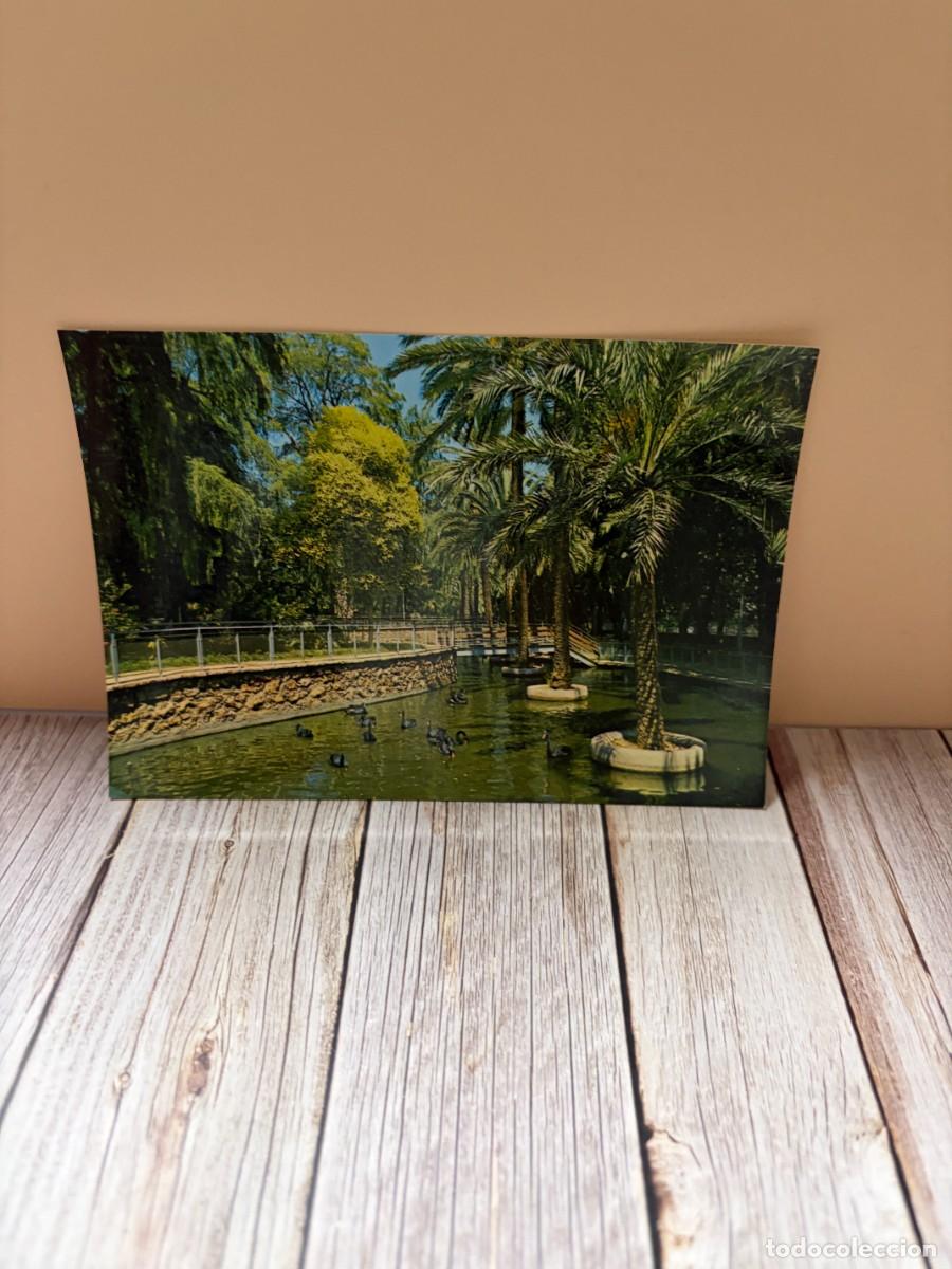 Postales: TARJETA POSTAL. M&Aacute;LAGA. 194.- COSTA DEL SOL. ESTANQUE DEL PARQUE. EDICIONES ARRIBAS