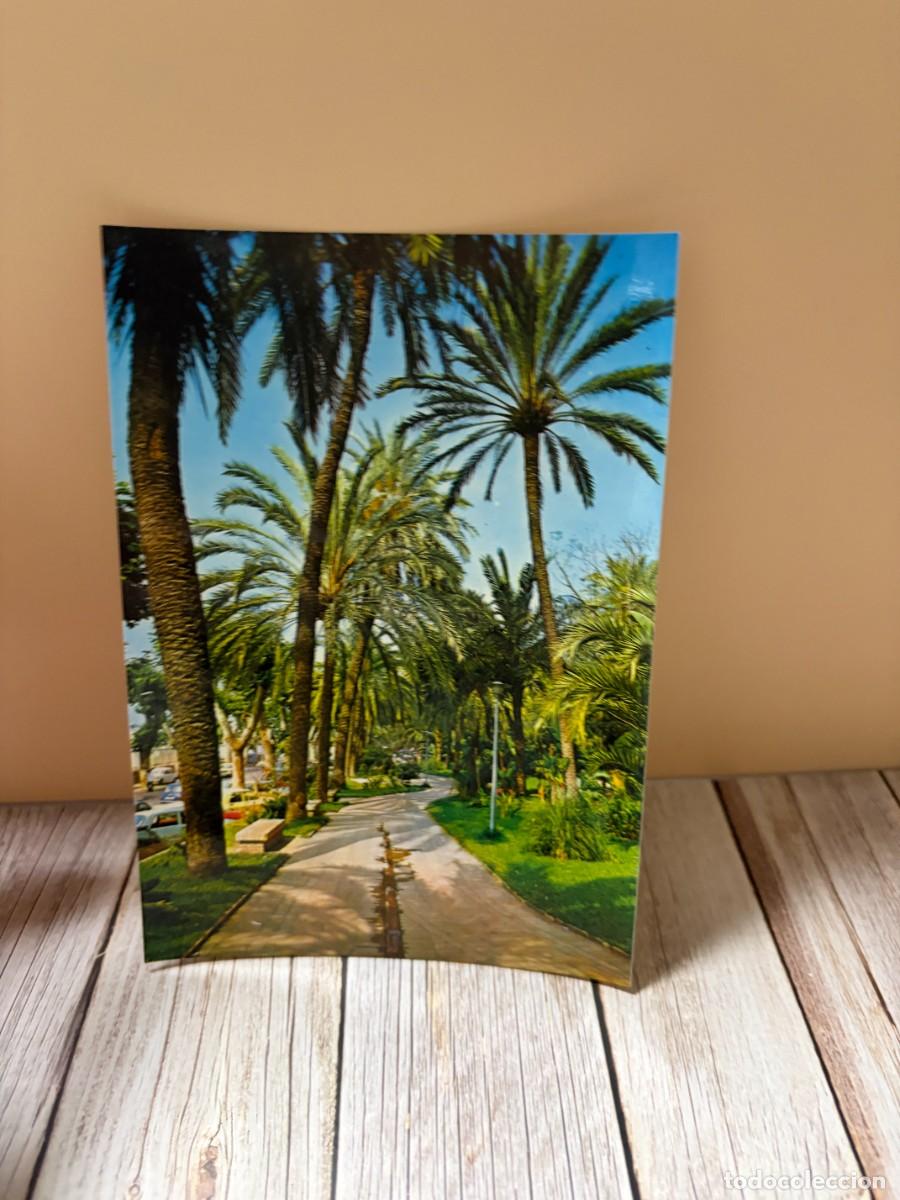 Postales: TARJETA POSTAL. M&Aacute;LAGA. 201.- PASEO DE LAS PALMERAS. PARQUE. EDICIONES ARRIBAS
