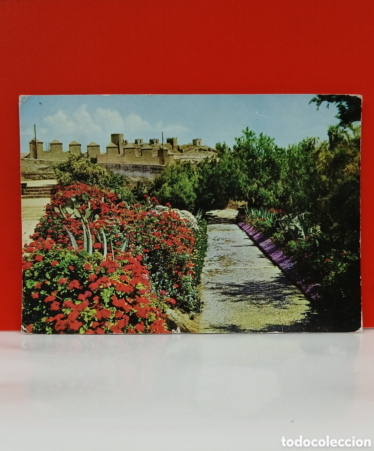 Postales: POSTAL ANTIGUA ALMER&Iacute;A &rdquo;JARDINES DE LA ALCAZ&Aacute;BA &rdquo; 1963
