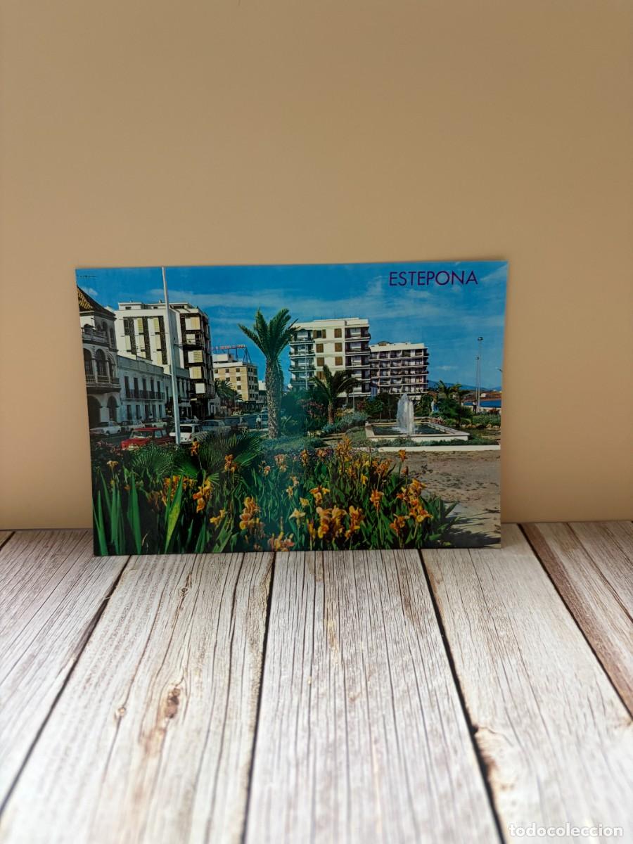 Postales: TARJETA POSTAL. M&Aacute;LAGA. 27.- COSTA DEL SOL. PASEO MAR&Iacute;TIMO. JARDINES. EDICIONES ARRIBAS