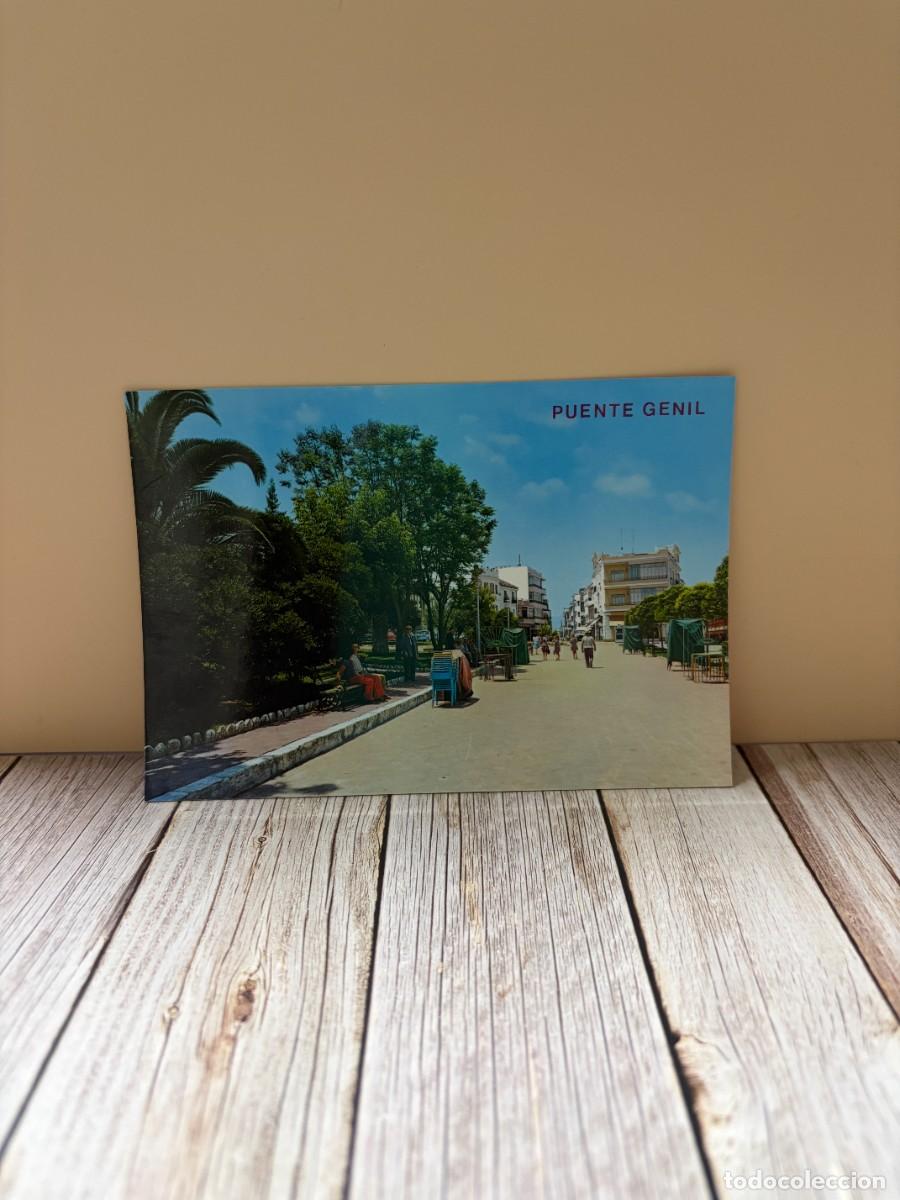 Postales: TARJETA POSTAL. C&Oacute;RDOBA. 11.- PLAZA DE CALVO SOTELO. EDICIONES ARRIBAS