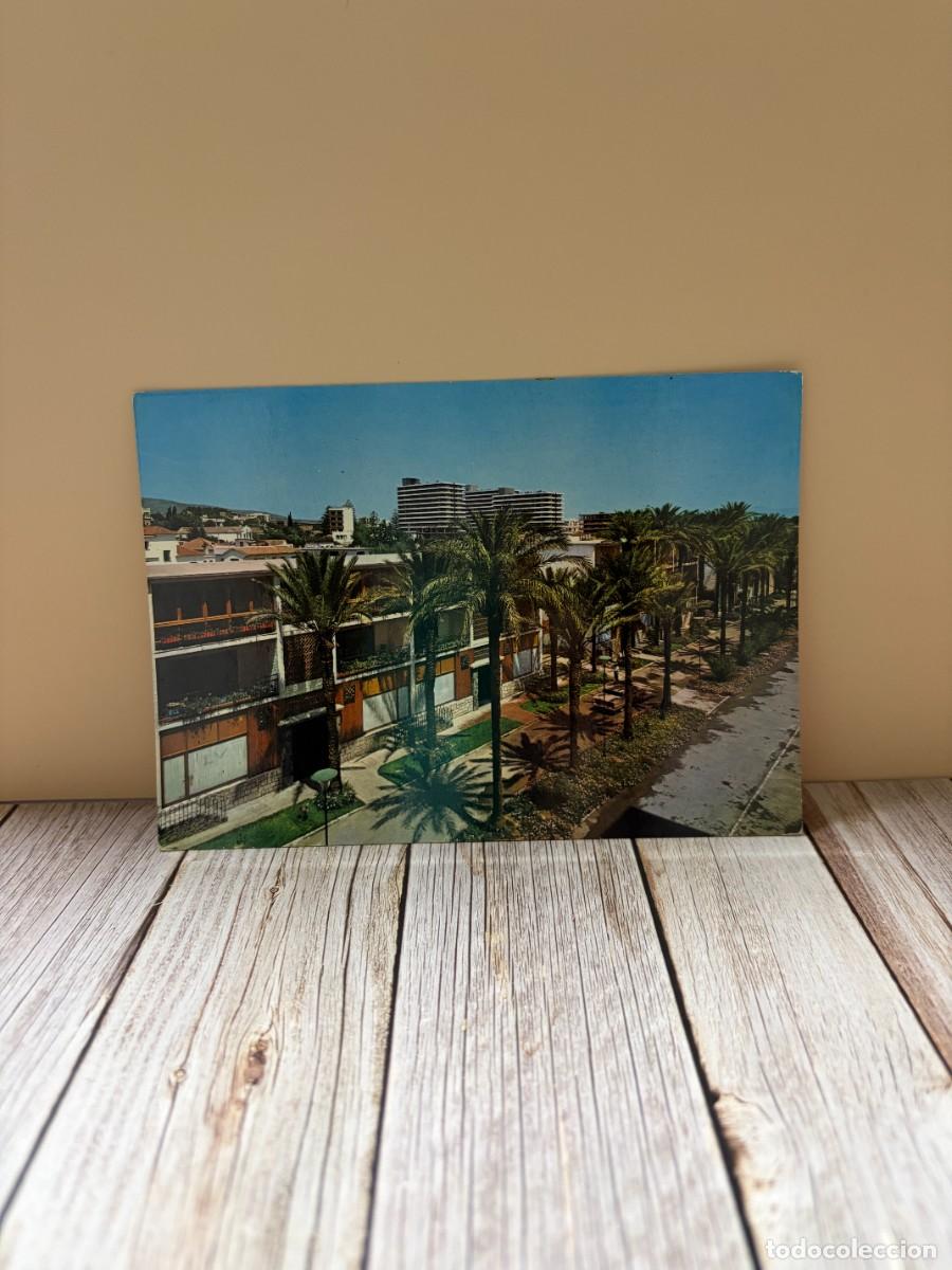 Postales: TARJETA POSTAL. M&Aacute;LAGA. 1107.- TORREMOLINOS. PASEO DE LAS PALMERAS. APARTAMENTOS. EDICIONES ARRIBAS