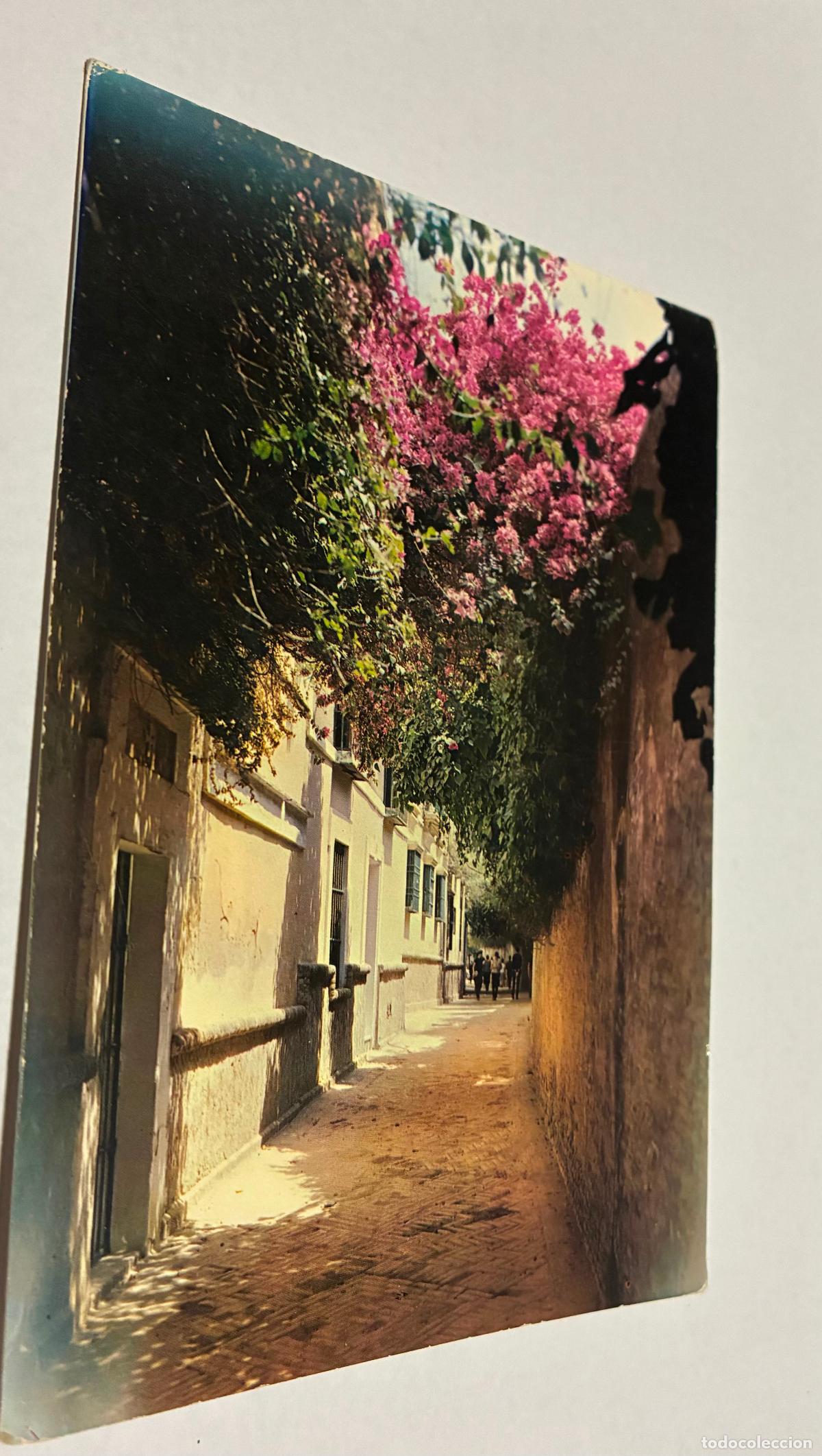 Postales: POSTAL SEVILLA, BARRIO SANTA CRUZ, CALLEJON DEL AGUA