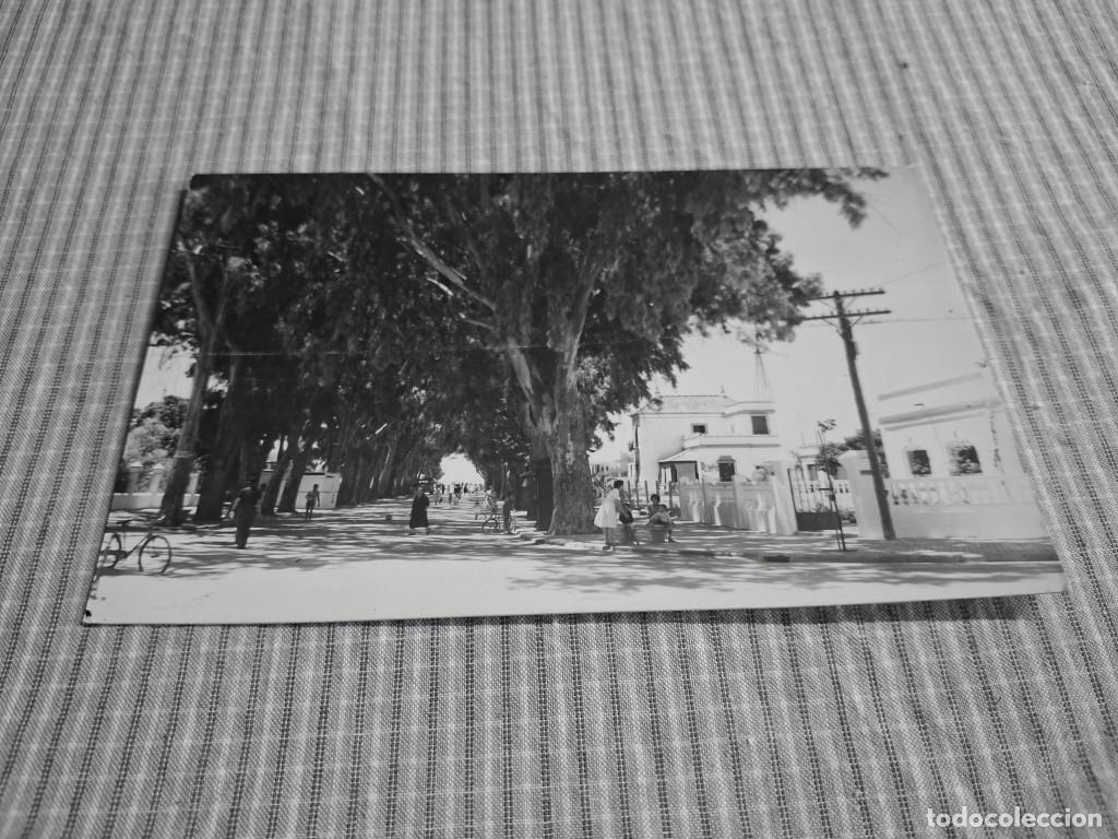 Postales: Postal antigua C&aacute;diz. Chipiona. Avenida de Jerez