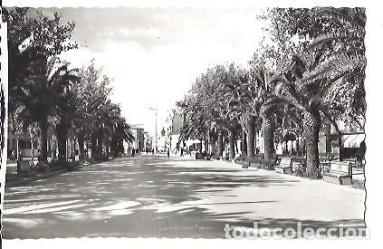 Postales: ANTIGUA POSTAL 7 LINARES PASEO DE LINAREJOS PRIMER TRAMO EDICIONES ARRIBAS