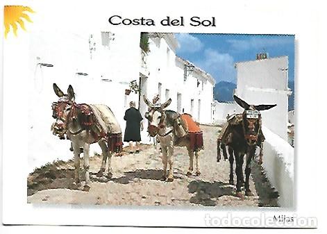 Postales: BURROS-TAXI / ASSES-TAXI.- MIJAS - MALAGA