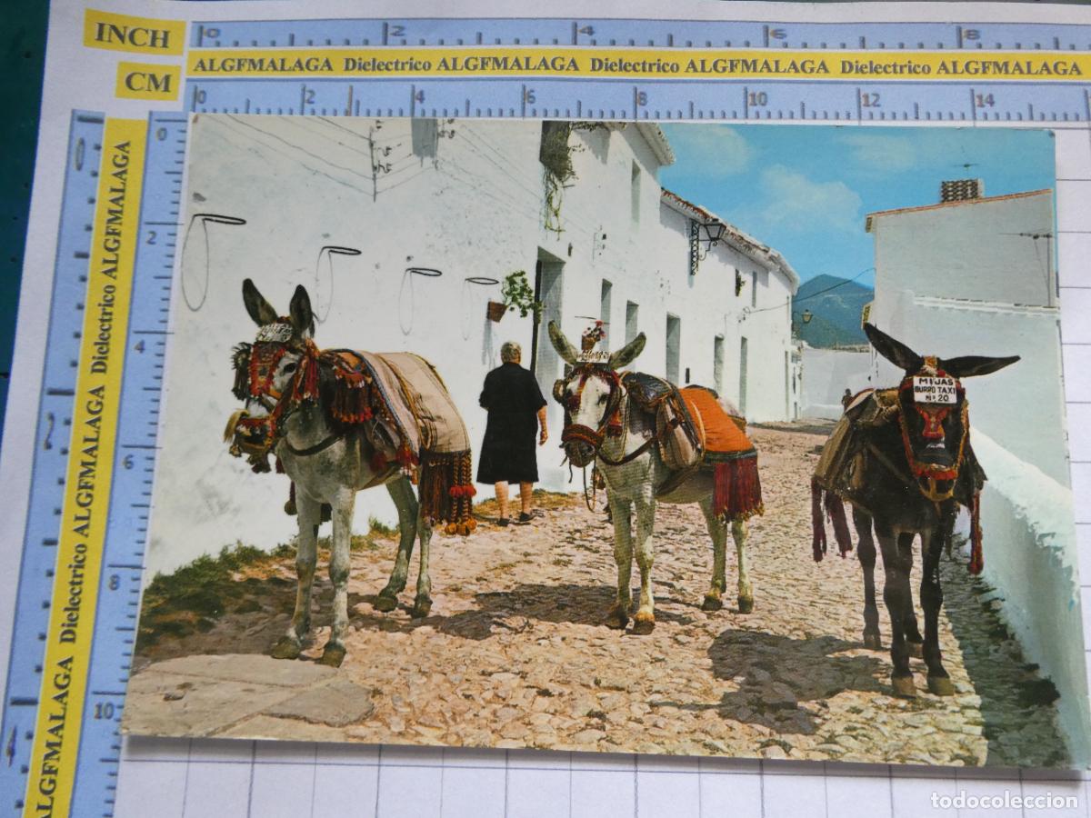 Postales: POSTAL DE M&Aacute;LAGA. A&Ntilde;O 1975. MIJAS ESCENA T&Iacute;PICA BURROS 1172 BAENA. 2765
