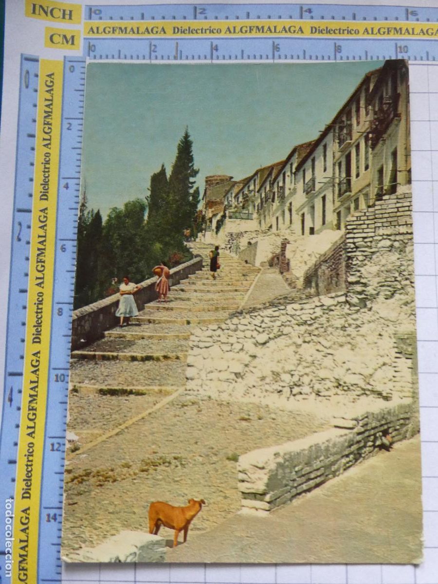 Postales: POSTAL DE M&Aacute;LAGA. A&Ntilde;O 1960. SUBIDA A LA CORACHA MUJERES PERRO 4 FERRANDIZ. 2776