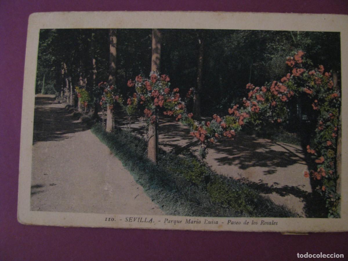Postales: POSTAL DE SEVILLA. L. ROISIN. PARQUE MARIA LUISA. PASEO DE LOS ROSALES.