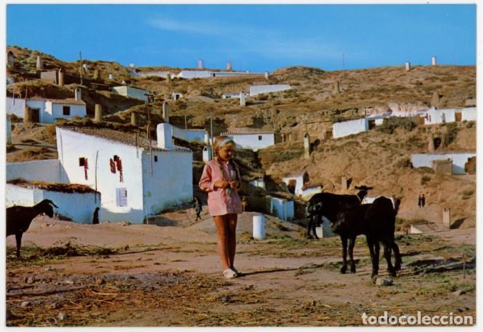 Postales: em04493 cullar baza cuevas tipicas 1969 jdp n&ordm;4 sc ni&ntilde;a ovejas