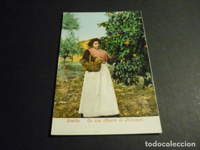 Postales: SEVILLA EN UNA HUERTA DE NARANJAS ED. PURGER SIN DIVIDIR