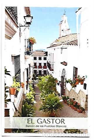 Postales: BALCON DE LOS PUEBLOS BLANCOS.- EL GASTOR / CADIZ