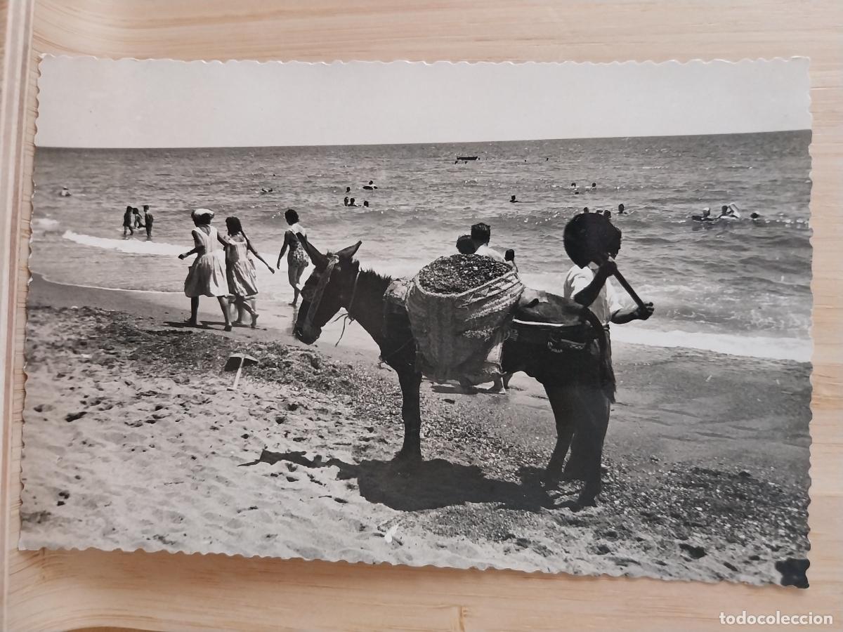 Postales: MARBELLA PLAYA ATARDECER ED FOTO DIEGO CORTES SC A&Ntilde;O 1958 BURRO ARREGLANDO ARENA ANIMADA
