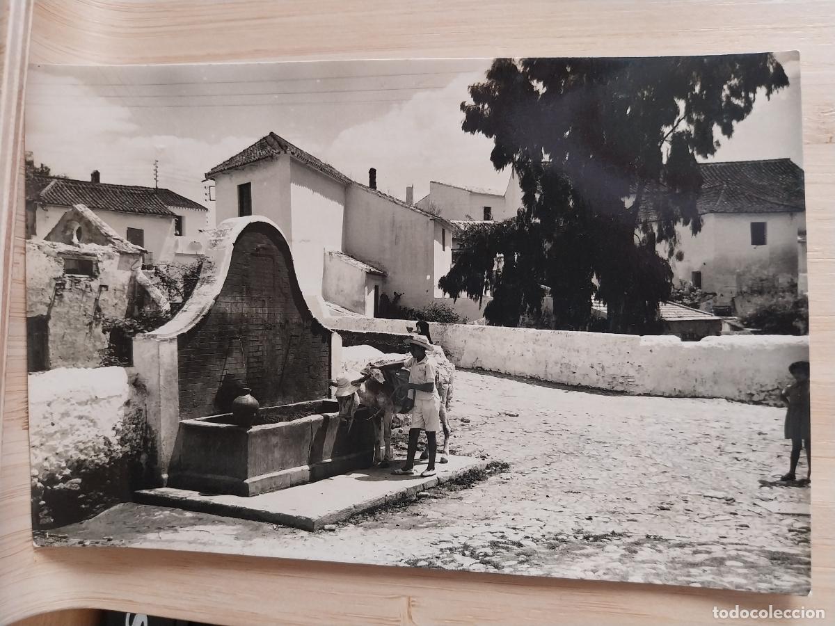 Postales: MARBELLA FUENTE PLAZA REYES CAT&Oacute;LICOS ED BELON LIMA 1006 SC ORIGINAL ANIMADA