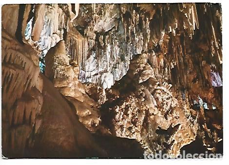 Postales: SALA DEL CATACLISMO, VISTA PARCIAL.- CUEVA DE NERJA / MALAGA